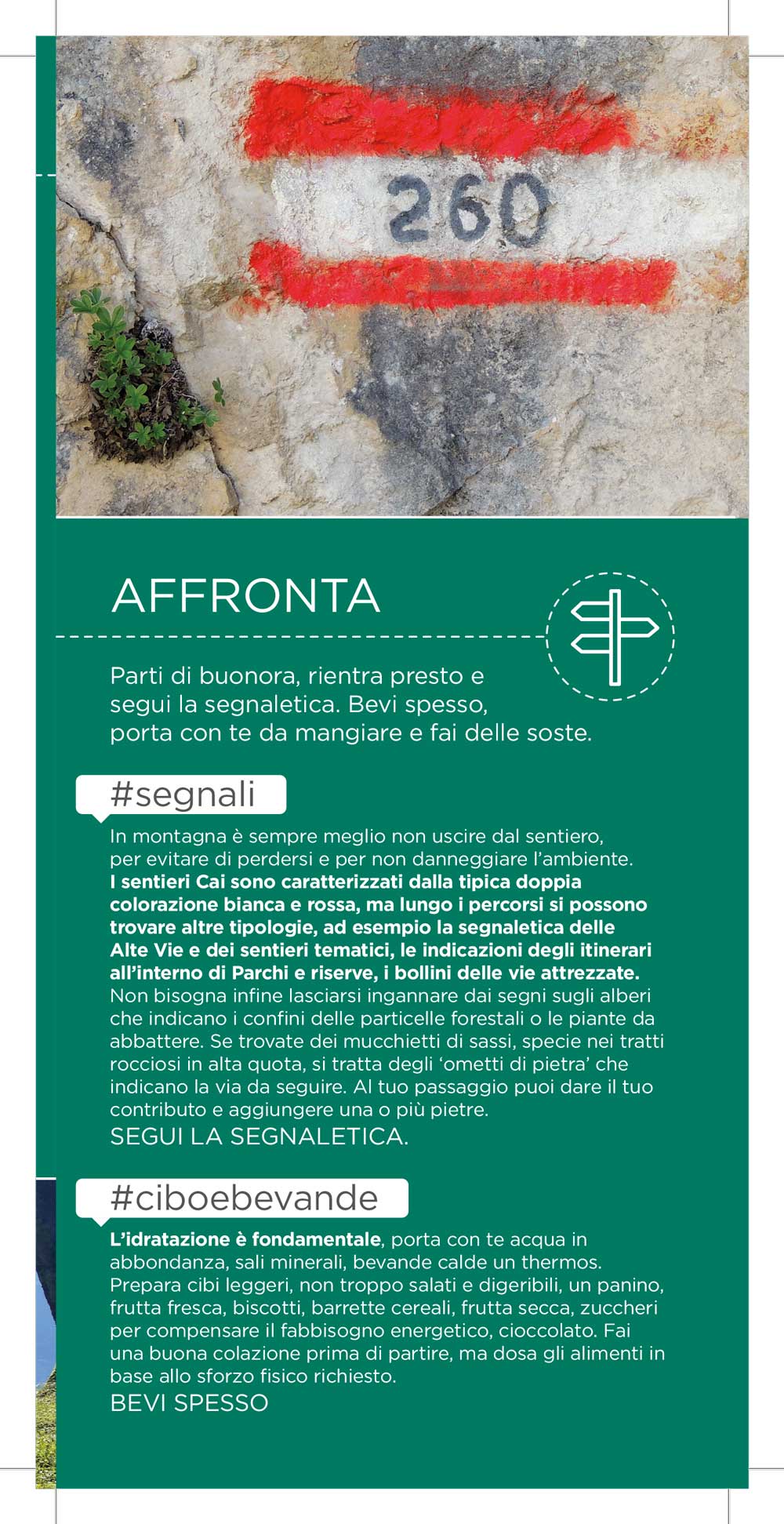 BRO CONSIGLI ADULTI ESTATE 2020 7