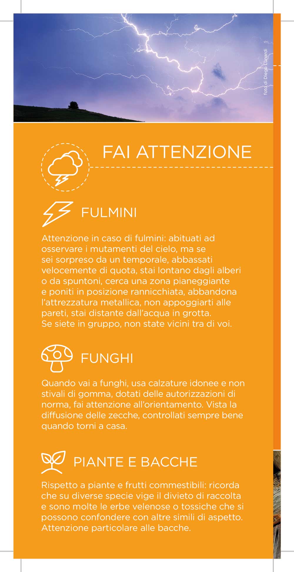 BRO CONSIGLI ADULTI ESTATE 2020 8